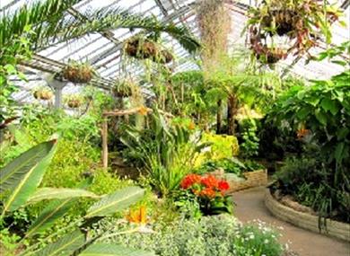 Paradise Park