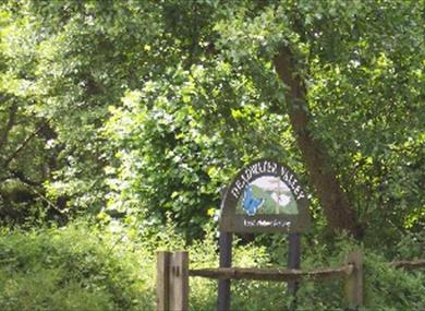 Bordon and Whitehill