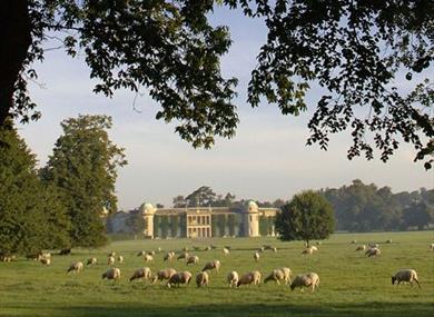 Major International Events at Goodwood