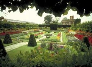 Hampton Court Flower Show 2013