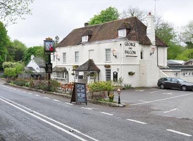 The George & Falcon