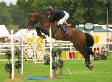 The New Forest and Hampshire County Show