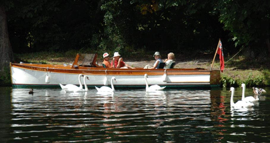 Boating at Henley on Thames, Oxfordshire 