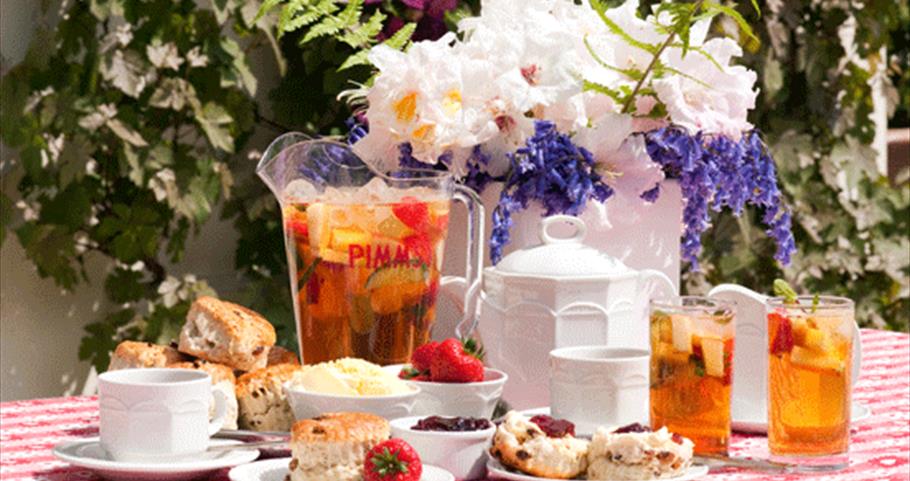 Afternoon Tea at Sir Harold Hillier Gardens, Romsey, Hampshire