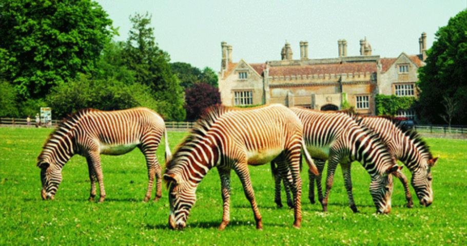 Marwell Wildlife, Hampshire 