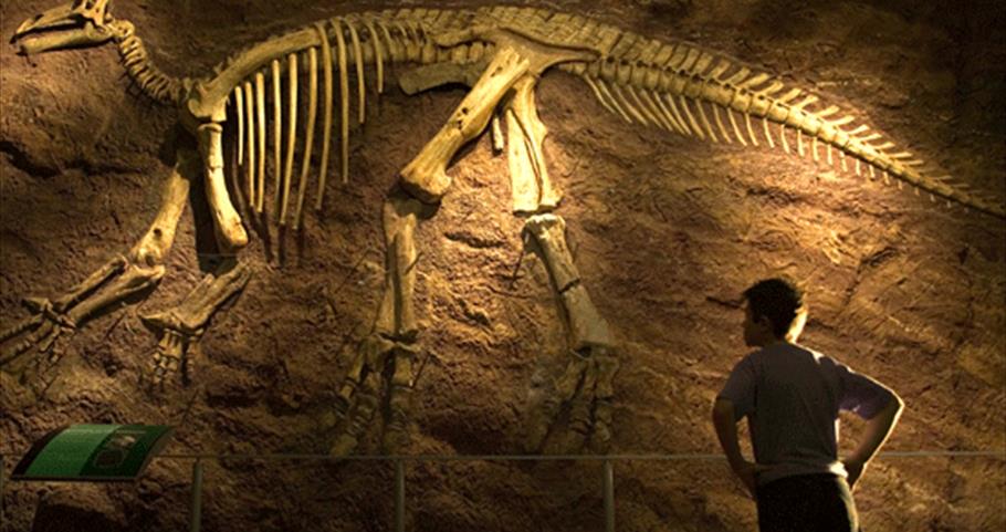 Dinosaur Isle, Isle of Wight 