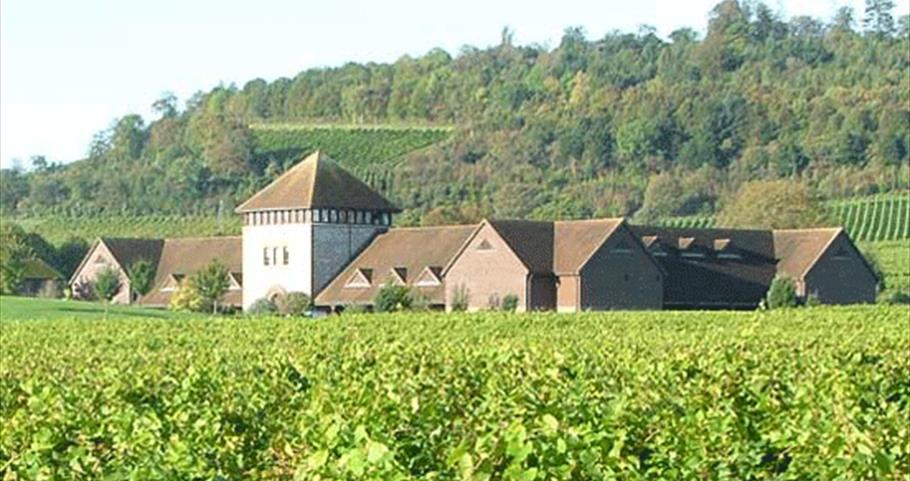 Denbies Wine Estate, Surrey 