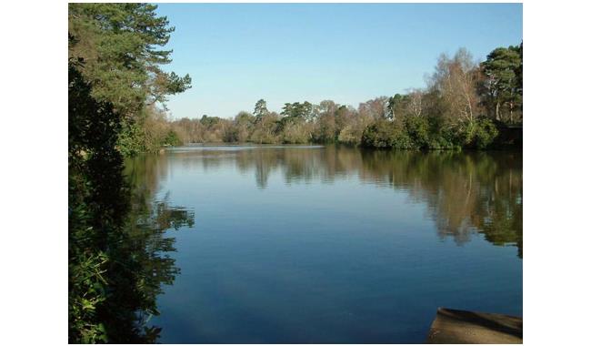 California Country Park - Country / Royal Park in Finchampstead