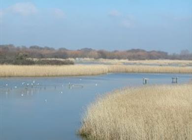 Titchfield Haven National Nature Reserve