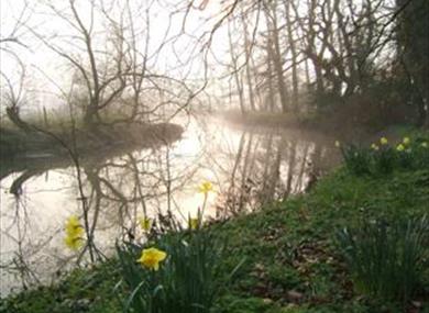 An oasis of calm -Waterperry Gardens
