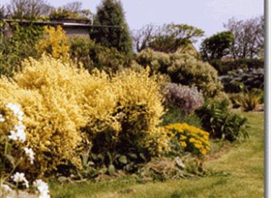 East Northdown Farm and Gardens
