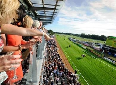 Fontwell Racecourse