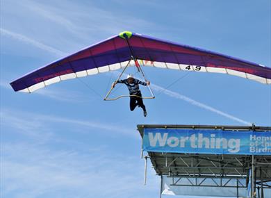 Worthing Birdman, West Sussex
