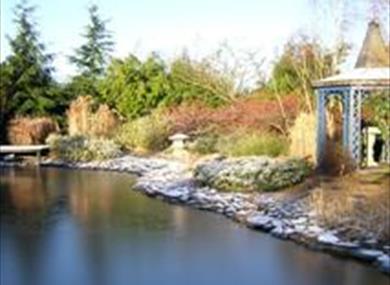 Broadview Gardens
