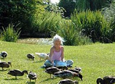 Fairfields Farm Caravan & Camping Park