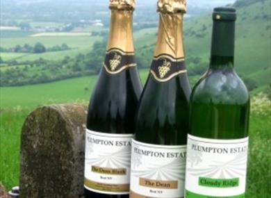 Plumpton College Vineyard