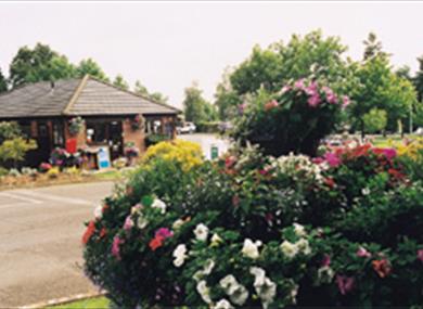 Alderstead Heath Caravan Club Site