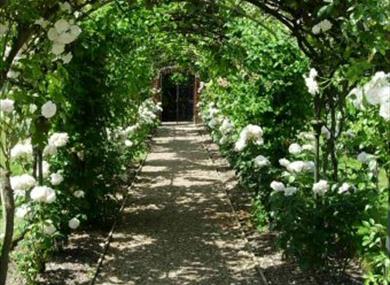 Greys Court