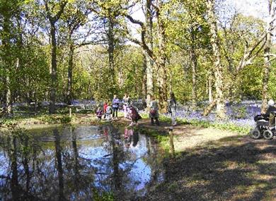 Arlington Pond by Helen Proctor