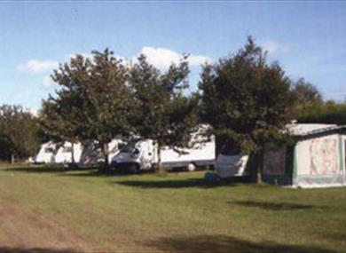 Cobbs Hill Farm