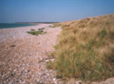 Climping Dunes and Sea