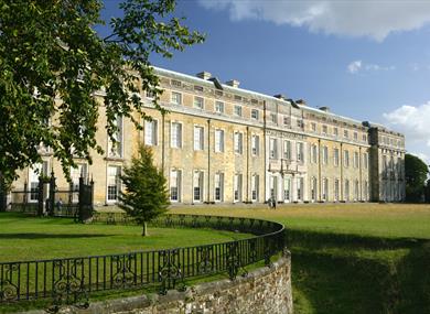 Petworth House & Park