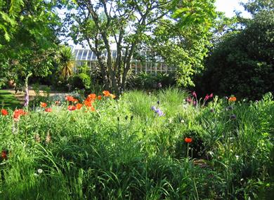 Denmans Gardens