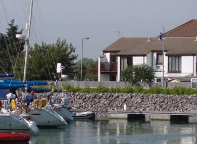 DOLPHINS OVERLOOKING HASLAR MARINA