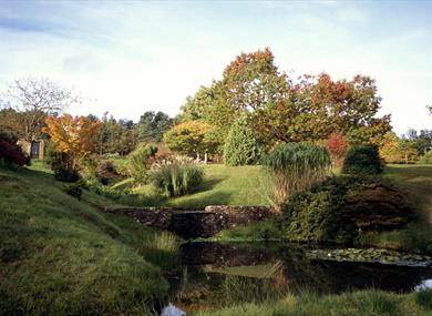 Mid Sussex