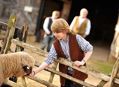 Manor Farm