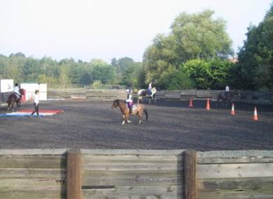 willowbrook_riding_centre,sussex,hambrook,stables