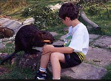 Visit us at Beaver Water World, open every day 10am-5pm