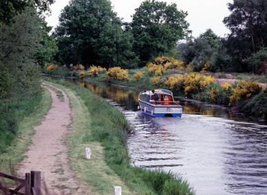 Basingstoke Canal, Woking, Surrey