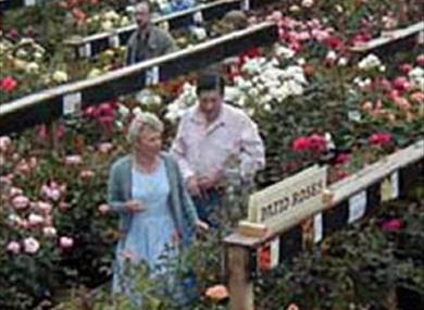 Wych Cross Nursery Ltd
