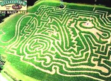 Tulleys Farm