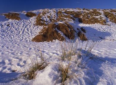 Camber Sands