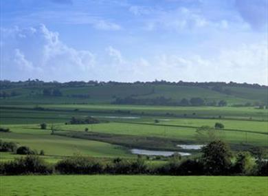 Cranbrook