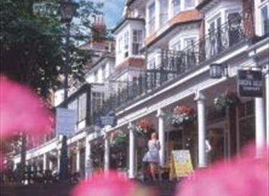 Pleasant Promenades - Guided Walking Tours