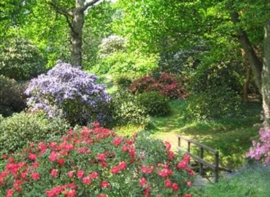 High Beeches Garden