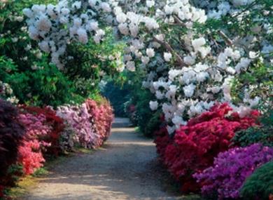 Exbury Gardens and Steam Railway