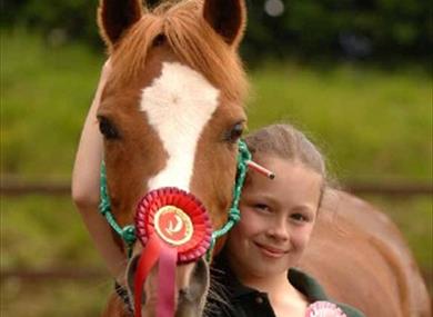 Lavant House Equestrian Centre