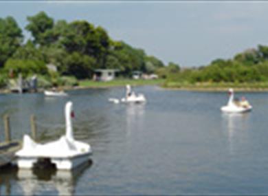 Swan pedaloes on Mewsbrook Park Boating Lake