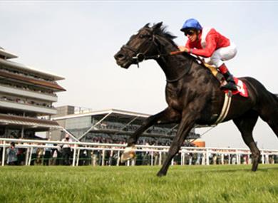 Flat racing