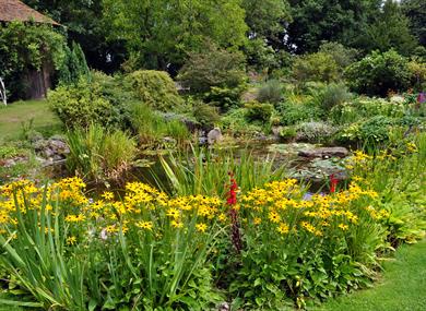 Beech Court Gardens