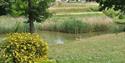 Horam Manor Touring Park