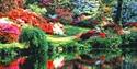 Exbury Garden