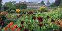 Parham House & Gardens