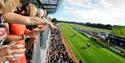 Fontwell Racecourse