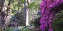 High Beeches Garden,sussex,hands cross,countryside