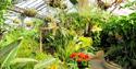 Paradise Park